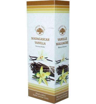 Green Tree Wierook Madagascan vanilla (20st) 20st