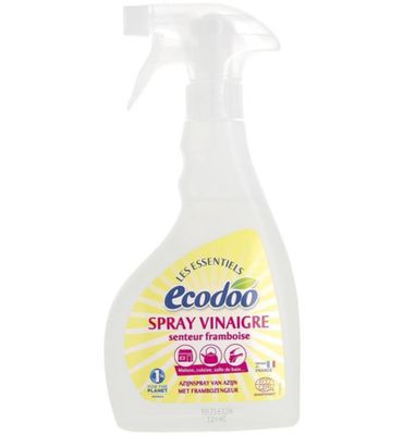 Ecodoo Witte alcoholazijn met frambozengeur spray bio (500ml) 500ml