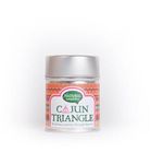 Natural Temptation Cajun triangle blikje natural spices bio (50g) 50g thumb