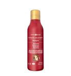 Surya Brasil Color fixation shampoo (250ml) 250ml thumb