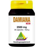 Snp Damiana extract 2500 mg puur (30ca) 30ca thumb