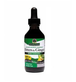 Natures Answer Natures Answer Gember & bitterstoffen extract alcoholvrij (60ml)