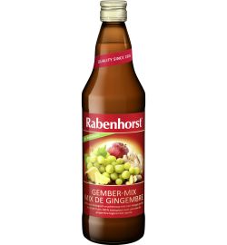 Rabenhorst Rabenhorst Ginger mix bio (750ml)