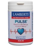 Lamberts Pulse (Visolie + Q10) (90ca) 90ca thumb