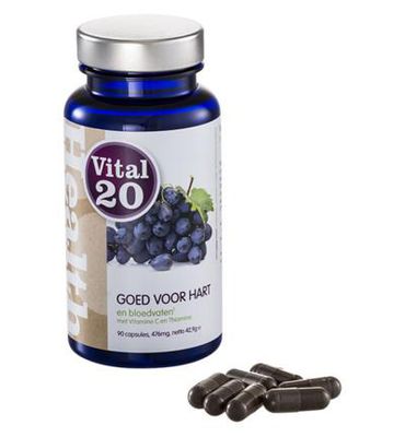 Vital20 Resveratrol opc co q10 (90vc) 90vc