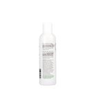 Purasana Aloe vera shampoo vegan bio (200ml) 200ml thumb