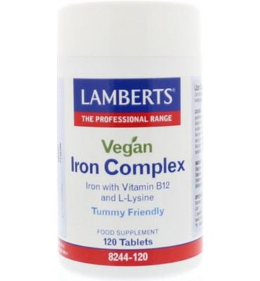 Lamberts IJzer complex vegan (120tb) 120tb