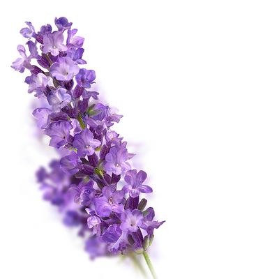 Kneipp Badkristal relaxing lavender (600g) 600g