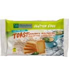 Damhert Toast glutenvrij (150g) 150g thumb