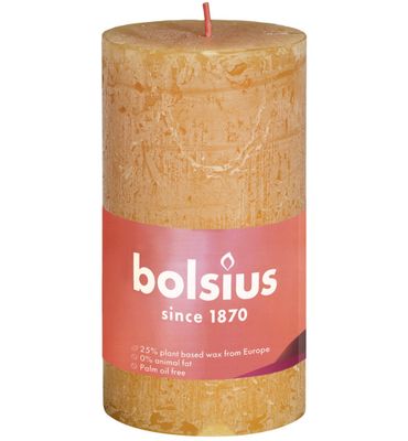 Bolsius Rustiekkaars shine 100/50 honeycomb yellow (1st) 1st