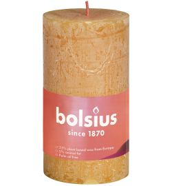 Bolsius Bolsius Rustiekkaars shine 100/50 honeycomb yellow (1st)
