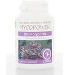 Mycopower Polyporus bio (100ca) 100ca thumb