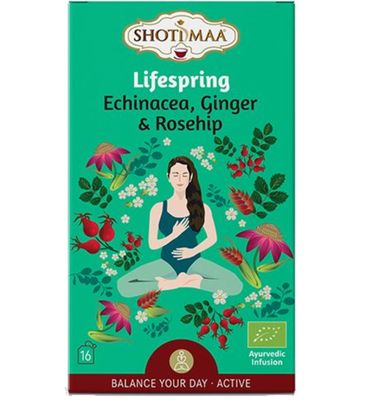 Shoti Maa Lifespring echinacea, ginger & rosehip (16st) 16st