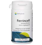 Springfield Ferrincell 44 mg - ijzer pyrofosfaat 5 mg (90vc) 90vc thumb