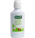 Gum Activital mondspoelmiddel (300ml) 300ml thumb