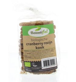 Bountiful Bountiful Cranberry rozijnkoek bio (250g)