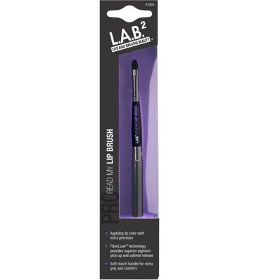 Lab2 Lip brush (1st) 1st