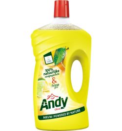 Andy Andy Allesreiniger citroen fris (10 (1000ml)