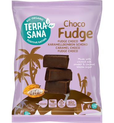 TerraSana Fudge chocolade bio (150g) 150g