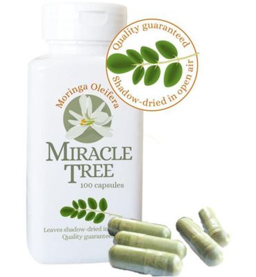 Miracle Tree moringa leifera (100ca) 100ca