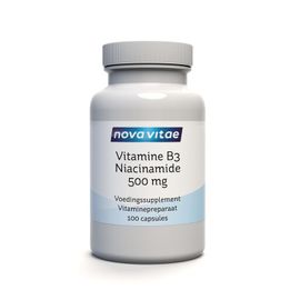 Nova Vitae Nova Vitae Vitamine B3 niacinamide 500mg (100ca)