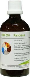Balance Pharma Balance Pharma Hgp016 Pancreas