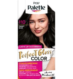 Poly Palette Poly Palette Haarverf 110 glossy zwart (1set)