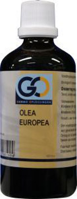 Go Olea Europea Go Olea Europea
