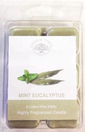 Green Tree Green Tree Wax Melts Mint Eucalyptus