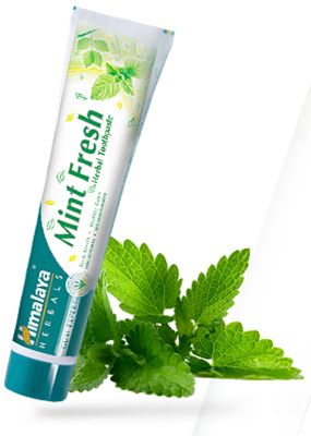 Himalaya Herbals Gum Expert Tandpasta Mint Fresh 75ml