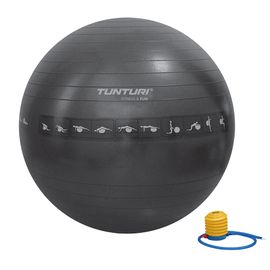 Tunturi Tunturi Gymball 65 Cm. Anti-burst